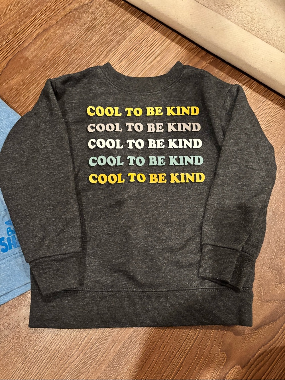 🎉(2T) Toddler Boy/Girl Sweatshirt Bundle - Picture 2 of 5